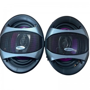 WorldTech 6 inch Door Speaker